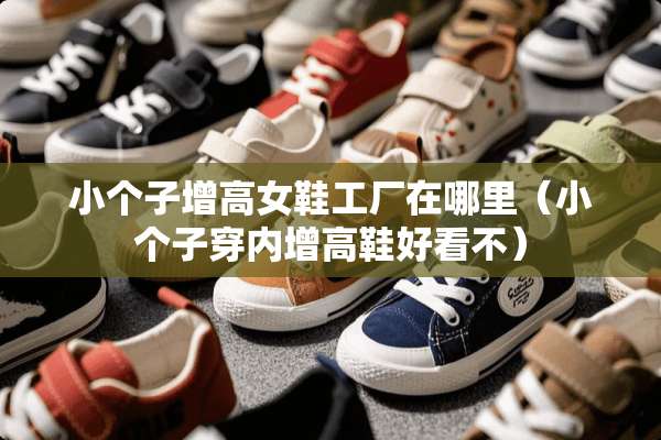 小个子增高女鞋工厂在哪里（小个子穿内增高鞋好看不）