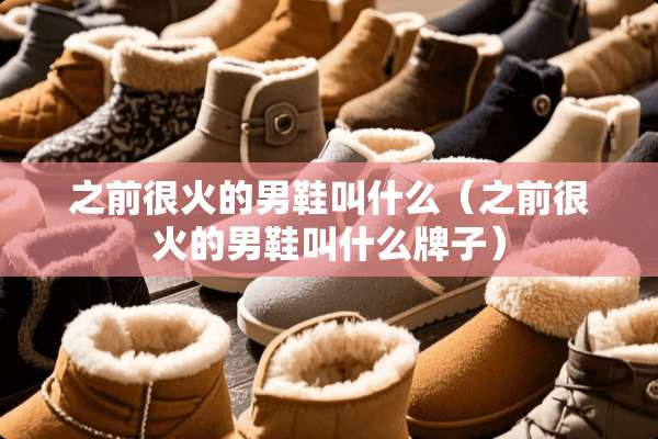 之前很火的男鞋叫什么（之前很火的男鞋叫什么牌子）