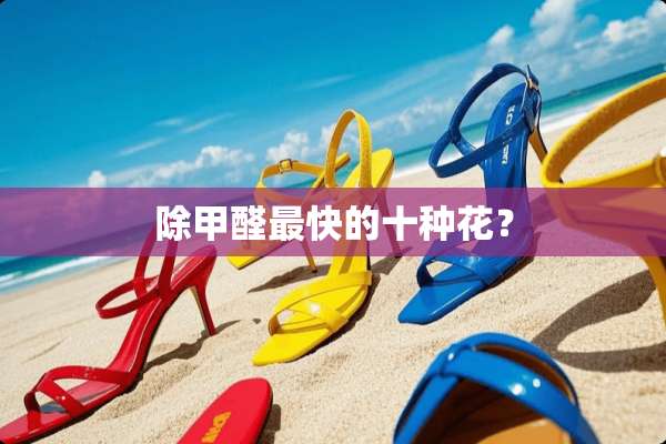 除甲醛最快的十种花？
