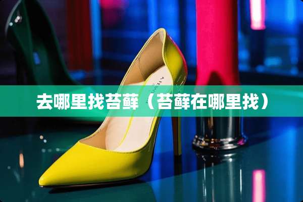 去***苔藓（苔藓在***）