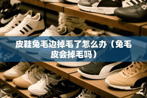 皮鞋兔毛边掉毛了怎么办（兔毛皮会掉毛吗）