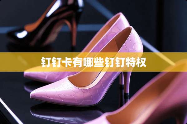 钉钉卡有哪些钉钉特权