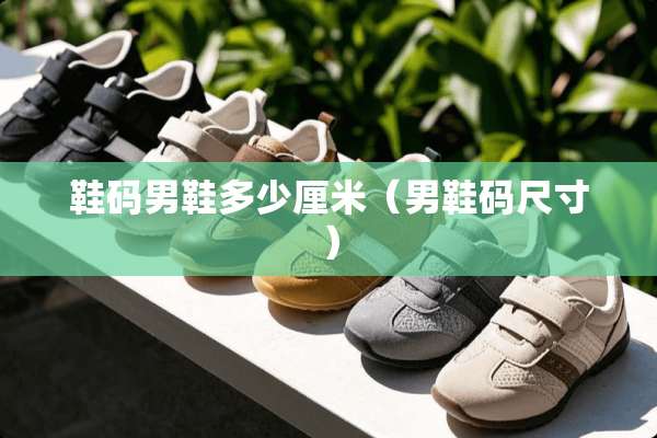 鞋码男鞋多少厘米（男鞋码尺寸）