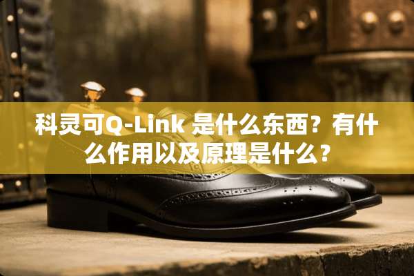 科灵可Q-Link 是什么东西？有什么作用以及原理是什么？