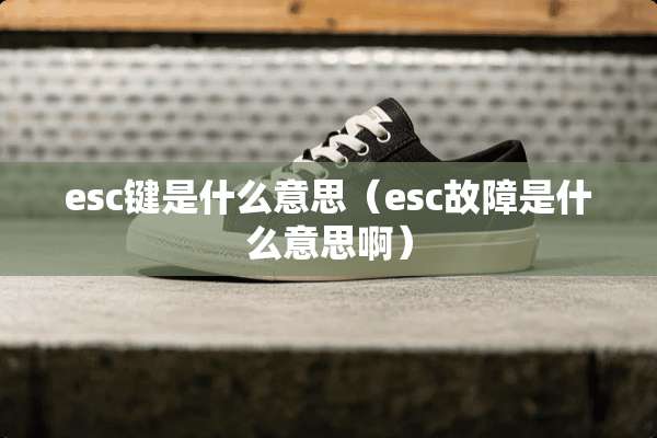 esc键是什么意思（esc故障是什么意思啊）