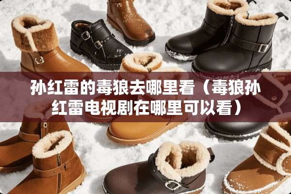 孙红雷的毒狼去哪里看（毒狼孙红雷电视剧在哪里可以看）