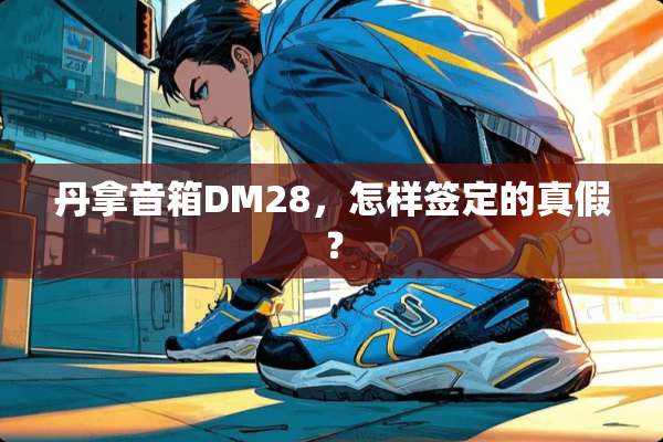 丹拿音箱DM28，怎样签定的真假？