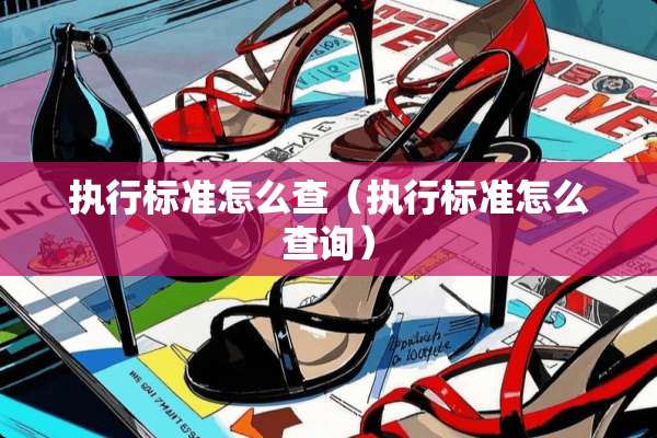 执行标准怎么查（执行标准怎么查询）