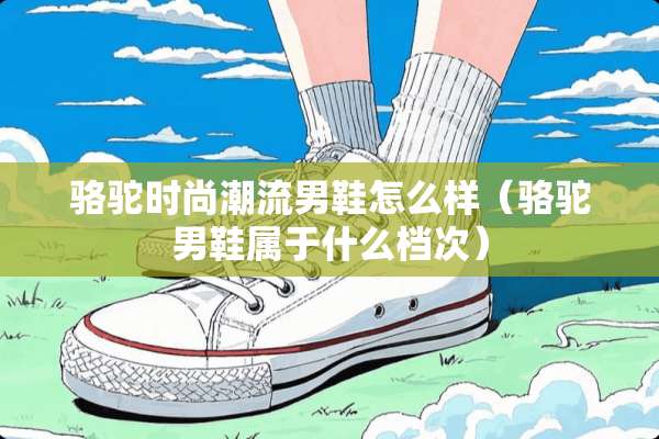骆驼时尚潮流男鞋怎么样（骆驼男鞋属于什么档次）