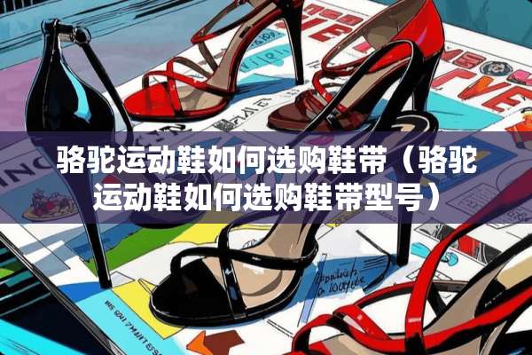 骆驼运动鞋如何选购鞋带（骆驼运动鞋如何选购鞋带型号）