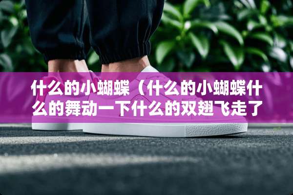 什么的小蝴蝶（什么的小蝴蝶什么的舞动一下什么的双翅飞走了天空）
