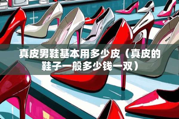 真皮男鞋基本用多少皮（真皮的鞋子一般多少钱一双）