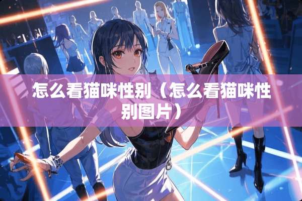 怎么看猫咪性别（怎么看猫咪性别图片）