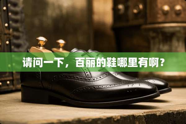 请问一下，百丽的鞋哪里有啊？