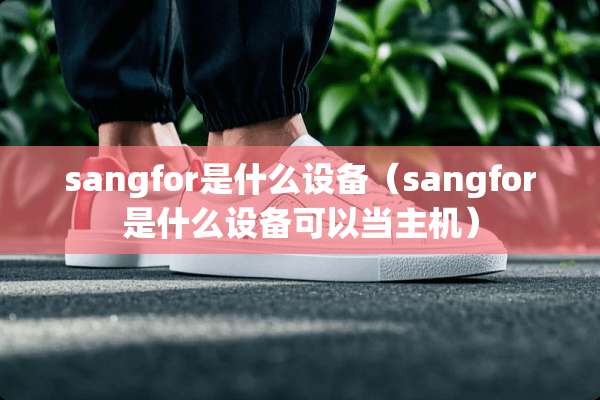 sangfor是什么设备（sangfor是什么设备可以当主机）