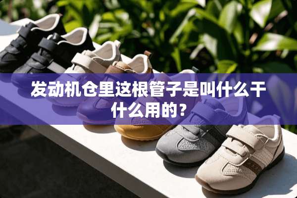 发动机仓里这根管子是叫什么干什么用的？