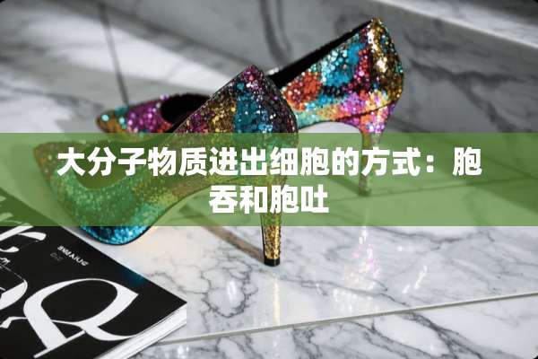大分子物质进出细胞的方式：胞吞和胞吐