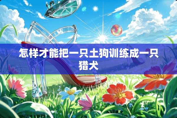 怎样才能把一只土狗训练成一只猎犬