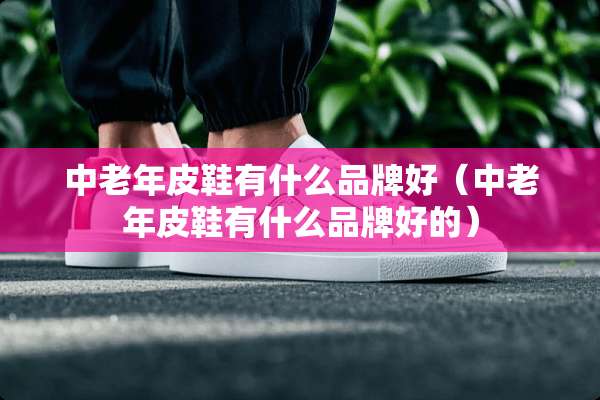 中老年皮鞋有什么品牌好（中老年皮鞋有什么品牌好的）