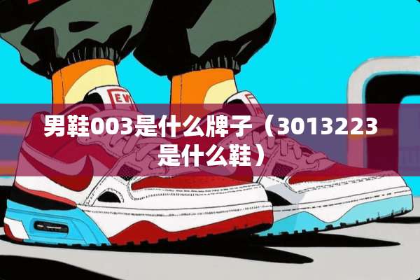 男鞋003是什么牌子（3013223是什么鞋）