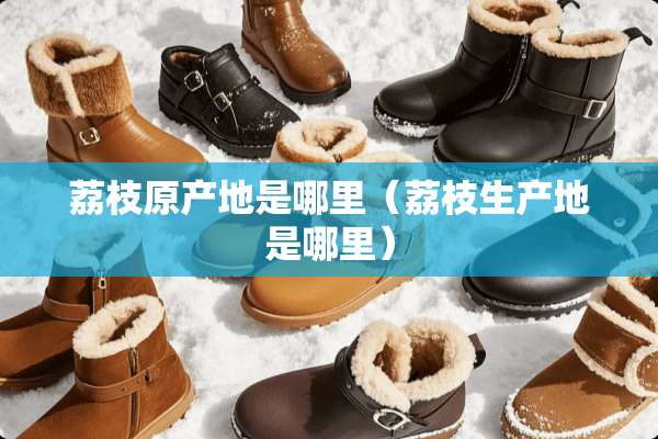 荔枝原产地是哪里（荔枝生产地是哪里）