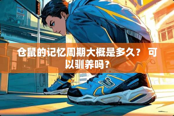 仓鼠的记忆周期大概是多久？ 可以驯养吗？