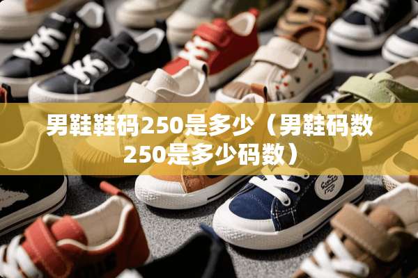 男鞋鞋码250是多少（男鞋码数250是多少码数）