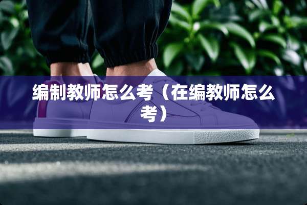 编制教师怎么考（在编教师怎么考）