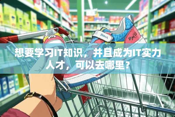想要学习IT知识，并且成为IT实力人才，可以去哪里？