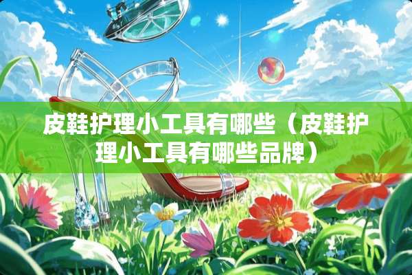 皮鞋护理小工具有哪些（皮鞋护理小工具有哪些品牌）