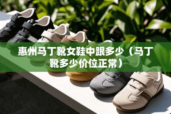 惠州马丁靴女鞋中跟多少（马丁靴多少价位正常）