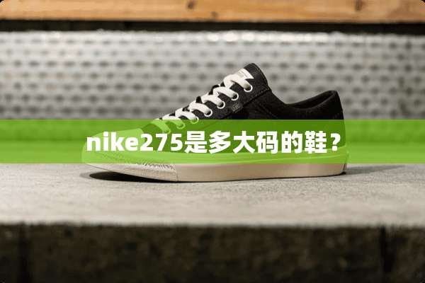nike275是多大码的鞋？