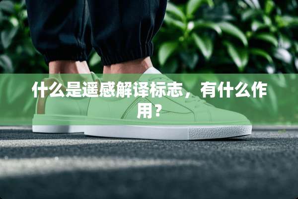 什么是遥感解译标志，有什么作用？