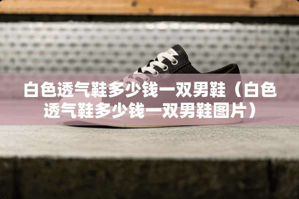 白色透气鞋多少钱一双男鞋（白色透气鞋多少钱一双男鞋图片）