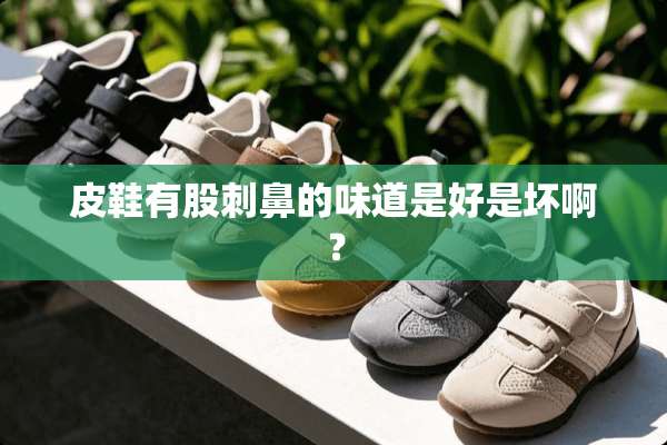 皮鞋有股刺鼻的味道是好是坏啊？
