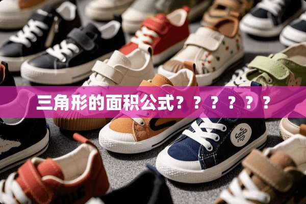三角形的面积公式？？？？？？