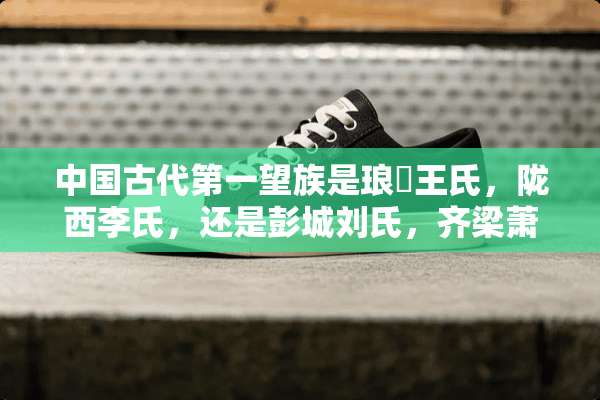 中国古代第一望族是琅玡王氏，陇西李氏，还是彭城刘氏，齐梁萧氏？