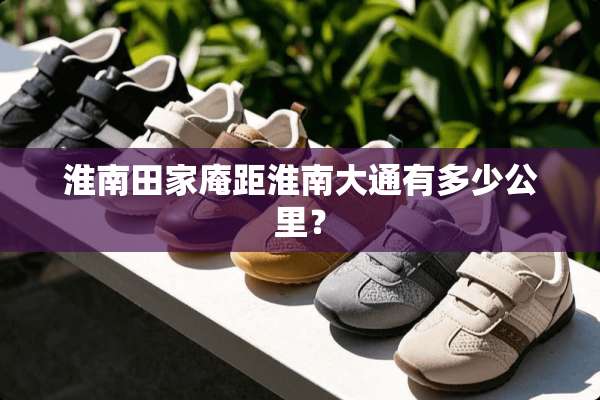 淮南田家庵距淮南大通有多少公里？