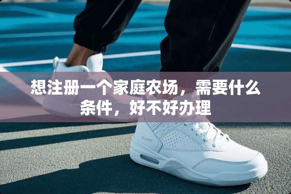 想注册一个家庭农场，需要什么条件，好不好办理