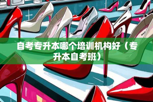 自考专升本哪个培训机构好（专升本自考班）