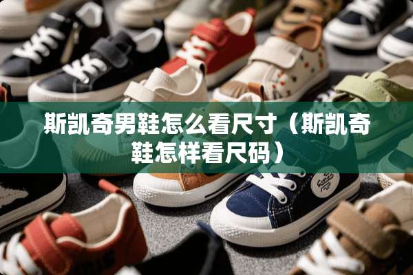 斯凯奇男鞋怎么看尺寸（斯凯奇鞋怎样看尺码）