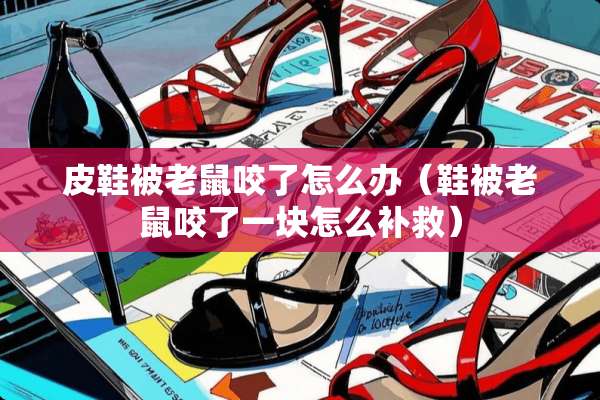 皮鞋被老鼠咬了怎么办（鞋被老鼠咬了一块怎么补救）