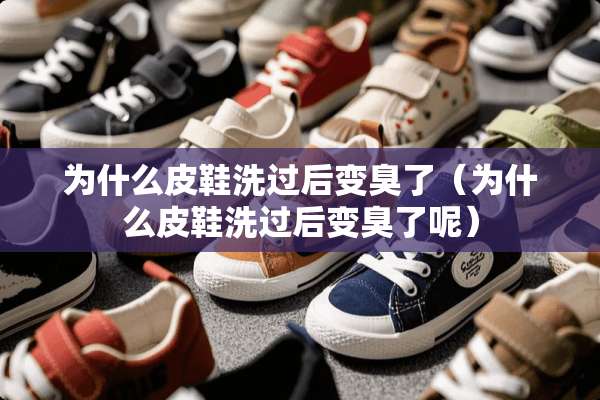 为什么皮鞋洗过后变臭了（为什么皮鞋洗过后变臭了呢）