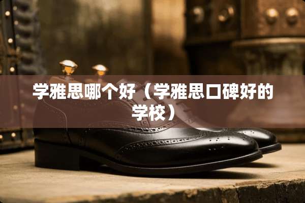 学雅思哪个好（学雅思口碑好的学校）