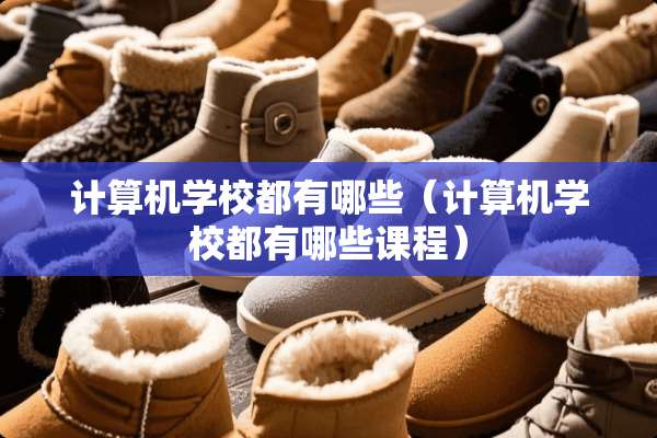 计算机学校都有哪些（计算机学校都有哪些课程）