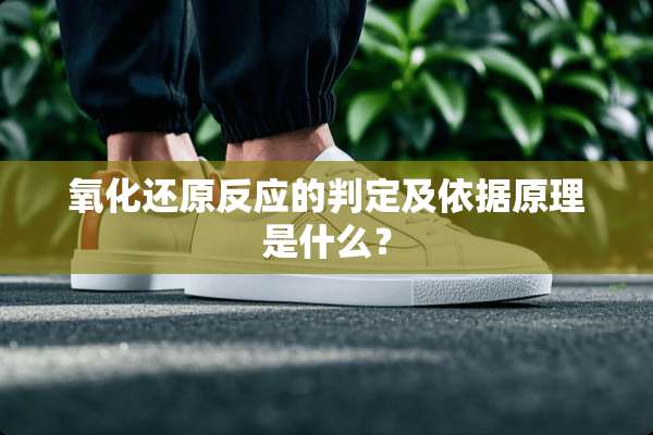 **还原反应的判定及依据原理是什么？