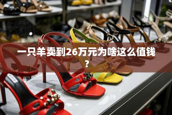 一只羊卖到26万元为啥这么值钱？