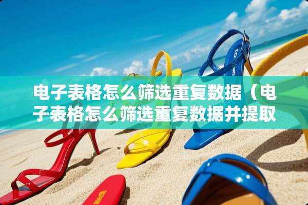 电子表格怎么筛选重复数据（电子表格怎么筛选重复数据并提取内容）