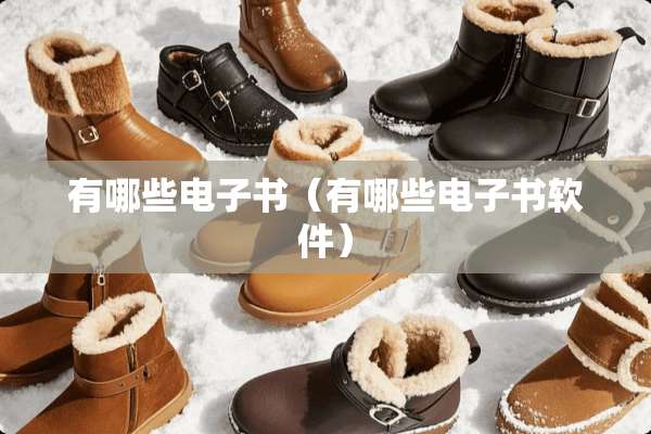 有哪些电子书（有哪些电子书软件）