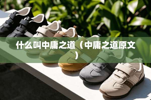 什么叫中庸之道（中庸之道原文）